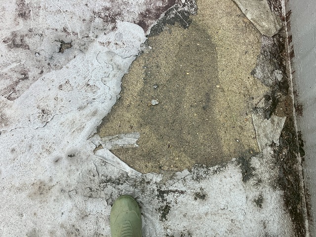 下地があらわな防水層